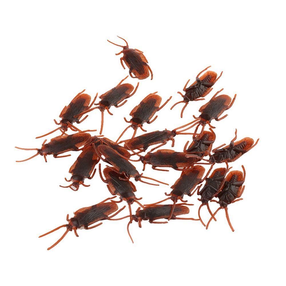 SOMEDAYZL Bộ 10 Mô Hình Blackbeetle Sống Động Như Thật