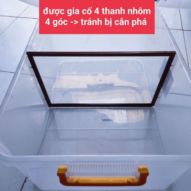Thùng nhựa 10L-15L nuôi Hamster có vách ngăn đôi