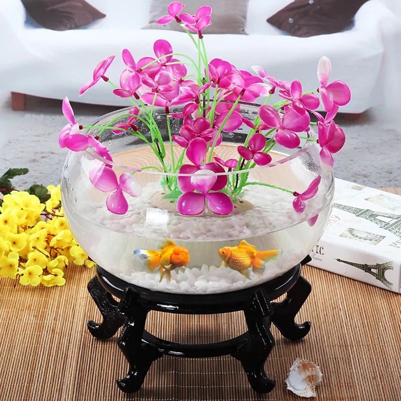 Chậu thủy tinh tròn thấp đường kính 20 và 25 cm nuôi cá cảnh nhỏ, có bán đế đen,trồng cây thủy sinh, tiểu cảnh terrarium