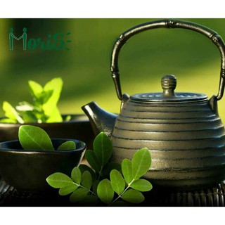 TRÀ CHÙM NGÂY TÚI LỌC MORIS