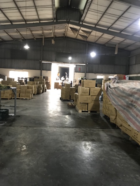 COMBO 50 đôi Dép lỗ đan đi trong nhà/văn phòng/khách sạn/nhà nghỉ size từ 37-45