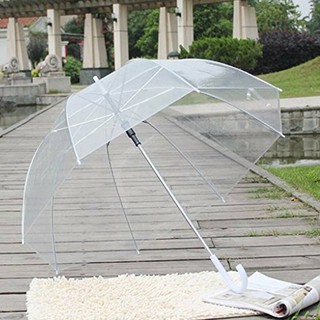 Dù Trong Suốt Tự Động, Dù 7 Màu Siêu To Khổng Lồ