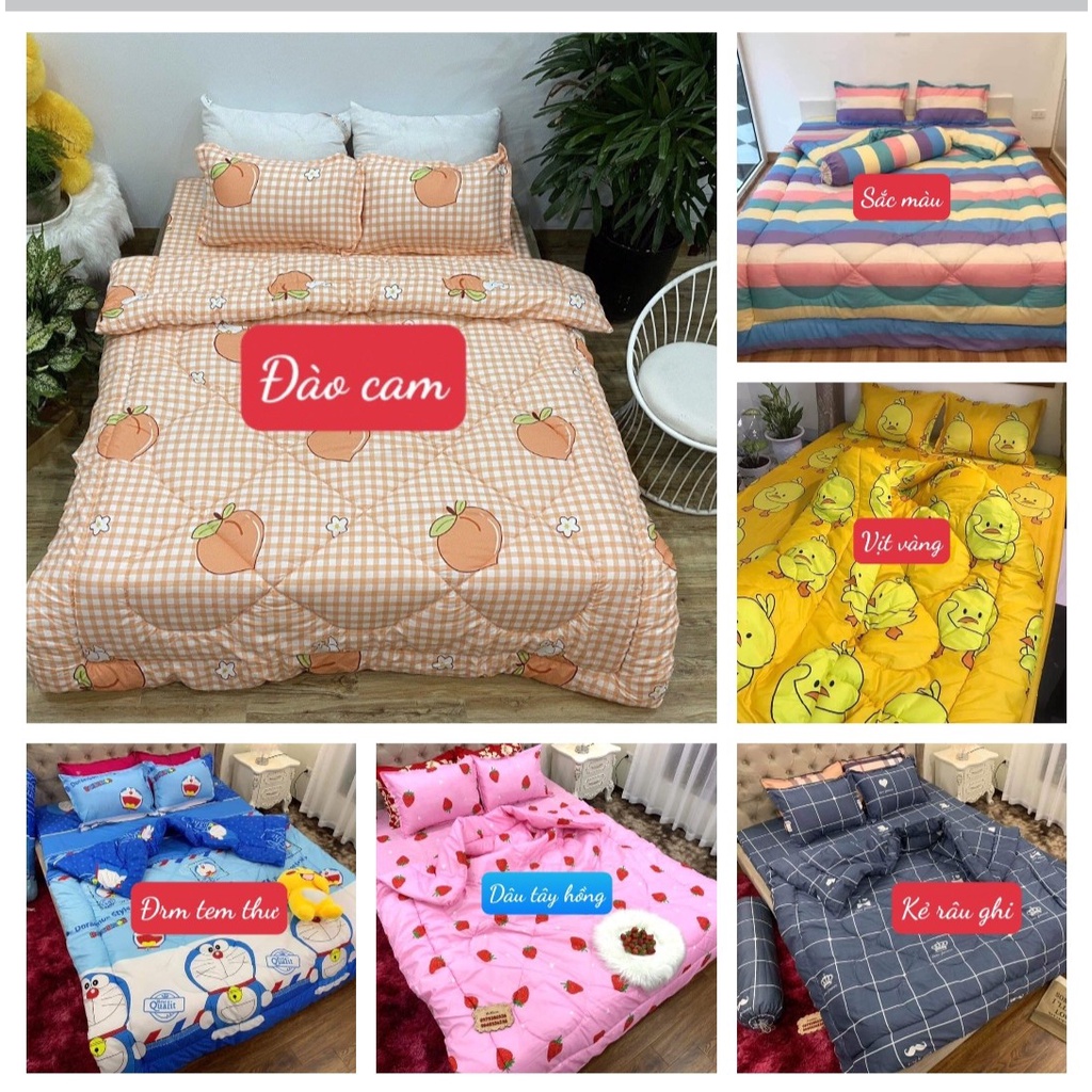 Xả kho Bộ Chăn Phao Ga Gối 1m2,1m4,1m5,1m6,1m8