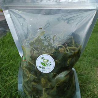 Quần áo bầu pass