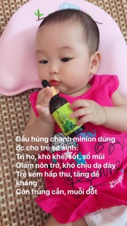Dầu húng chanh minion