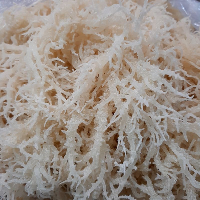 RONG SỤN KHÔ/RONG BIỂN KHÔ/ RAU CÂU CHÂN VỊT 500gr