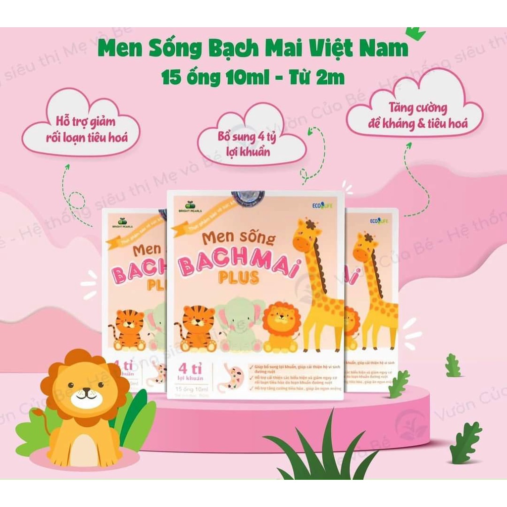 MEN SỐNG BẠCH MAI PLUS DATE XA
