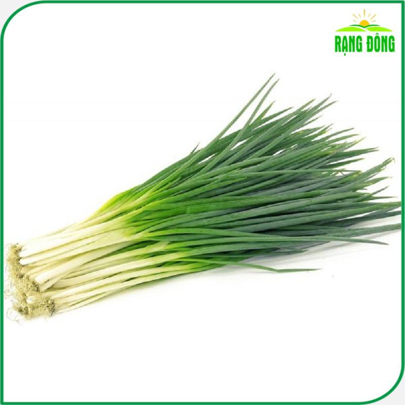 Hạt giống Hành Hương Chịu Nhiệt, Trồng Quanh Năm, Sinh Trưởng Khỏe (gói 2 gram) - Hạt Giống Rạng Đông