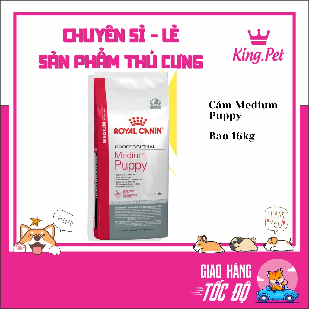 ROYAL MEDIUM PUPPY BAO 16kg thức ăn hạt cao cấp