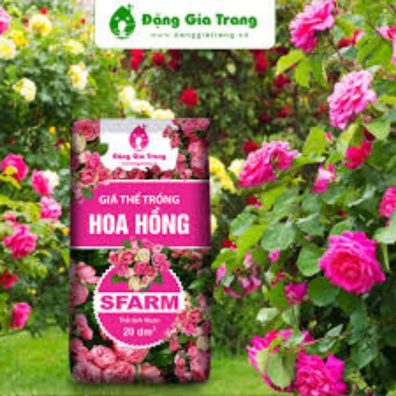 GIÁ THỂ TRỒNG HOA HỒNG SFARM BAO 20dm3- 7kg