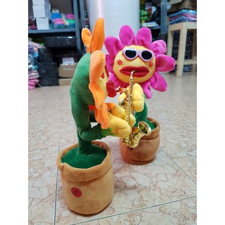 Hoa thổi kèn