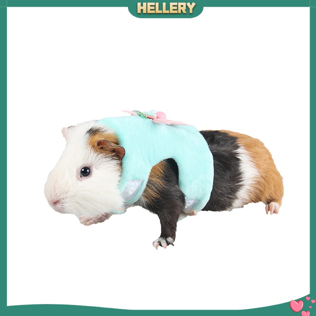Bộ Dây Đai Và Dây Dắt Bằng Vải Cotton Cho Chuột Hamster / Heo Guinea