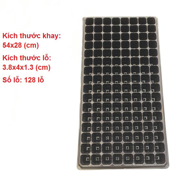 Set 5 khay nhựa ươm cây 128 lỗ [GIÁ SỈ]