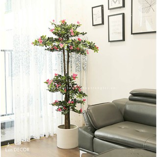 💥 Cây giả - Cây Hoa đỗ quyên trang trí nhà, ban công đẹp Lan Decor 170cm - LC2450