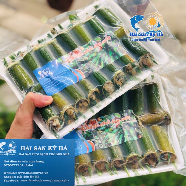 Giá Sỉ 1 Vĩ Ốc Nhồi Ống Nứa