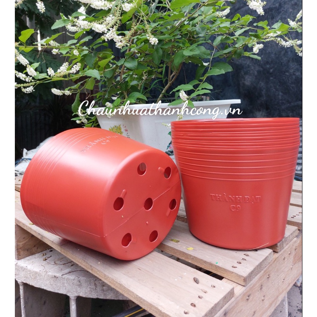 Set 10 Chậu nhựa đỏ C9L  trồng cây