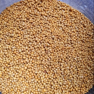 phân tan chậm 14-14-14( túi 500 g)