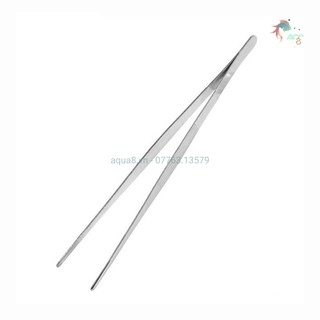 Nhíp thằng trồng cây thủy sinh loại 30cm