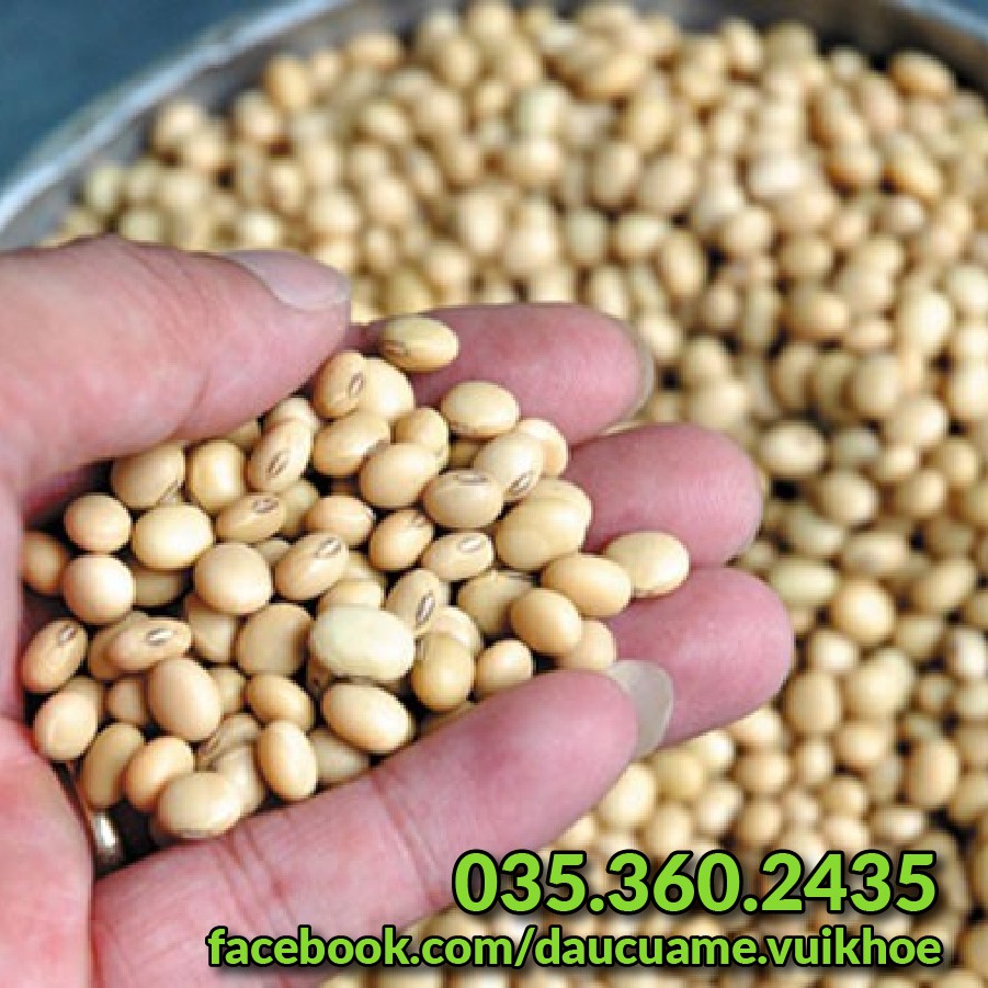 Đậu nành  quê thuần chủng