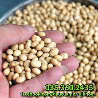 [ 1kg ] Đậu nành (đỗ tương, đậu tương) quê thuần chủng