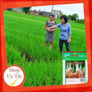 - Hạt Giống Hành Lá Phú Nông chất lượng.