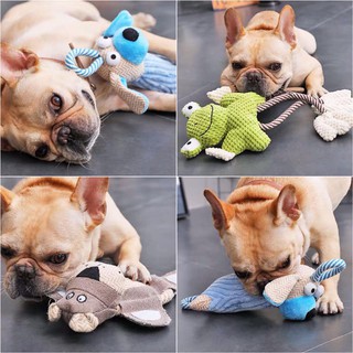 ODER PHỤ KIỆN CHO PET
