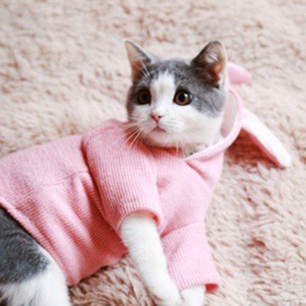 YIYU Áo Hoodie Dệt Kim Mềm Mại Cho Thú Cưng TYLER1