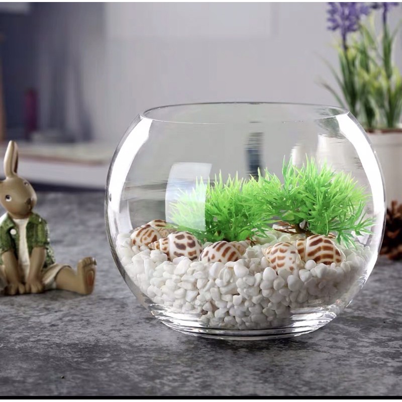 Hồ CÁ Mini để bàn - Hồ Cá Tròn Phù Hợp Văn Phòng, Bàn Làm Việc | Hồ Tròn Setup Terrarium