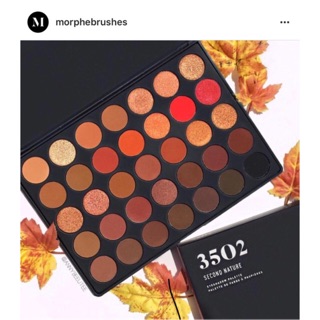 Bảng mắt Morphe 3502  [bể 1 ô]