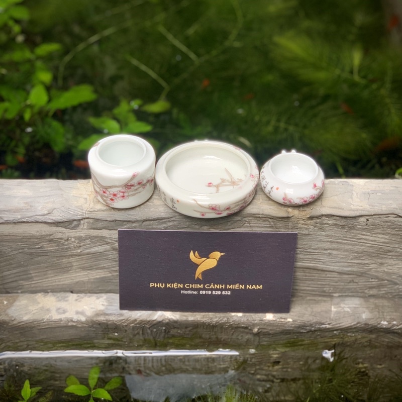 Cóng chim vẽ tay HOA - Cửu Chính Đường