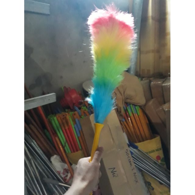 Phất trần ông cụ