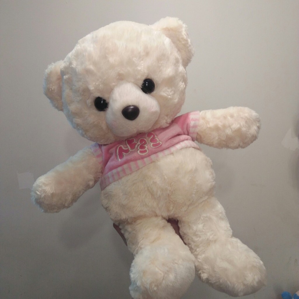 Gấu bông Teddy đồng giá 99k 11 mẫu Teddy kích thước từ 40-60cm NEOCI
