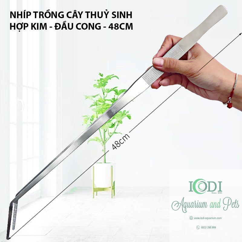 Nhíp trồng cây cho bể thủy sinh