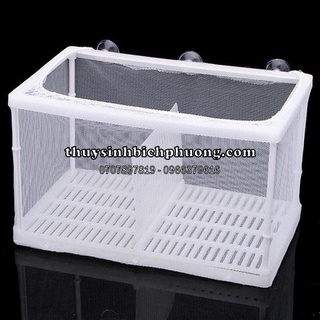 Lồng đôi lưới 2 ngăn dưỡng cá boyu - tách cá tép sinh sản