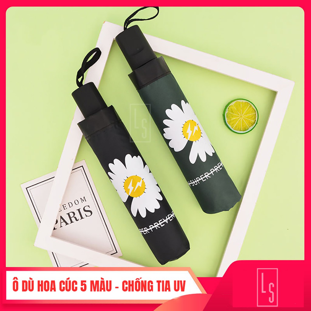 Ô Dù Hoa Cúc Chống Tia UV - Dù Cúc Họa Mi GD 5 Màu