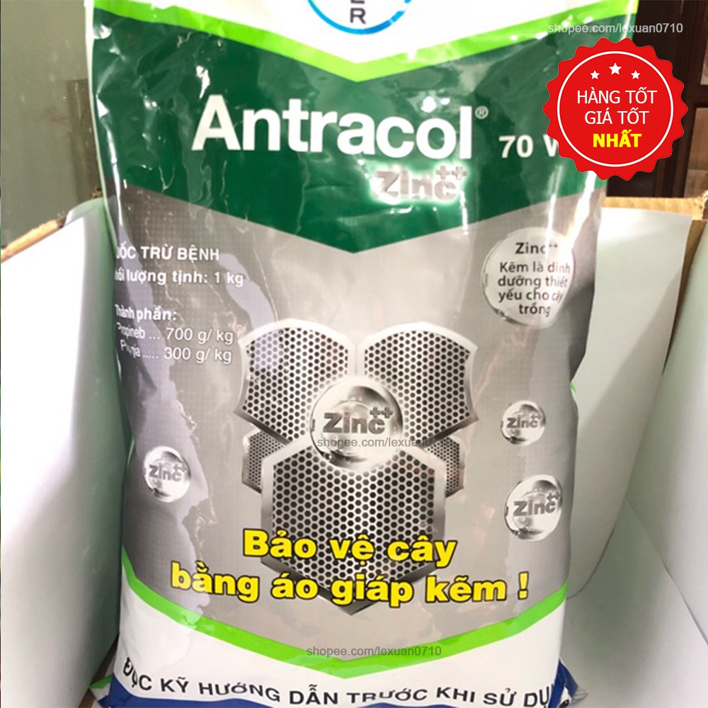 Antracol 70WP - Thuốc trị nấm bệnh cho hoa lan, hoa hồng và cây kiểng