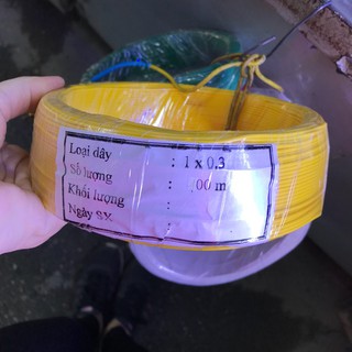 Lq-quận dây điện 100m lõi 0,3