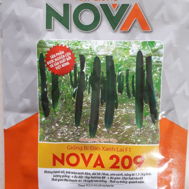 Hạt giống bí xanh Nova 209 10gram