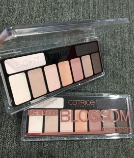 BẢNG MẮT CATRICE