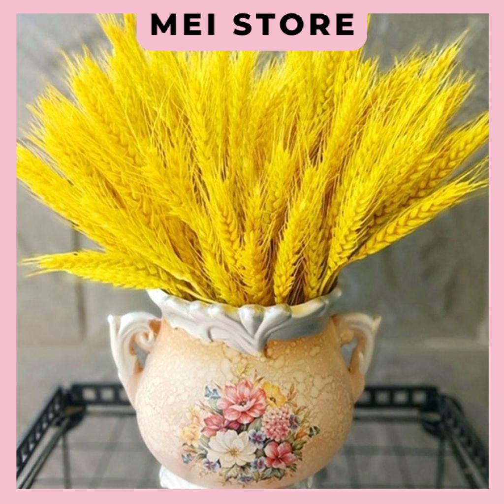 Bông Lúa Mạch Khô Decor Trang Trí Sét 100 Bông