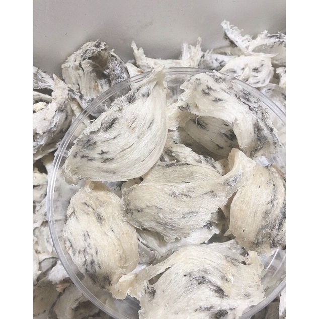 HỘP 100gram Tổ yến thô già yến nhà nuôi nguyên chất nguyên tổ shop tặng kèm nhíp và đồ chưng
