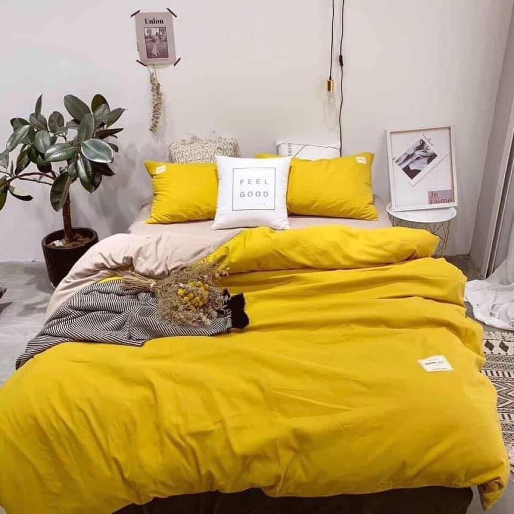 Bộ chăn ga gối cotton TiCi cao cấp KHÔNG BAI XÙ,  hàng nhập khẩu một màu - ( BO CHUN THEO YÊU CẦU) | BigBuy360 - bigbuy360.vn