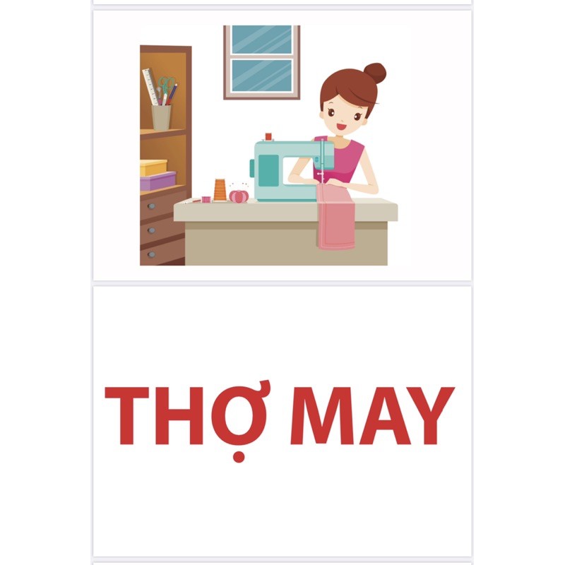 Bộ thẻ học thông minh Flashcard Glenn Doman 17 chủ đề