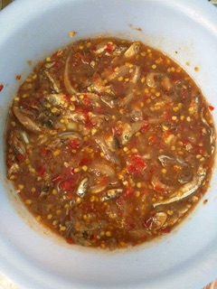 mắm cá cơm nguyên con