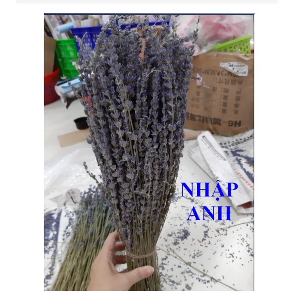 Bó hoa khô hoa lavender 130g (nhập Anh, nhập Pháp)