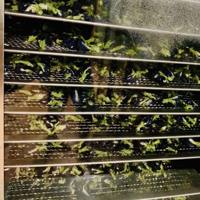 1Kg Hoa Đậu Biếc Khô Thơm, Mới