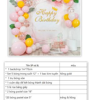(BACKDROP MS20) SET BÓNG TRANG TRÍ SINH NHẬT CHỈ 234k