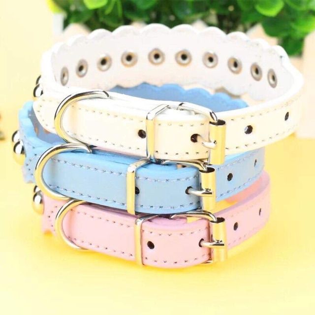 Vòng cổ cho chó mèo