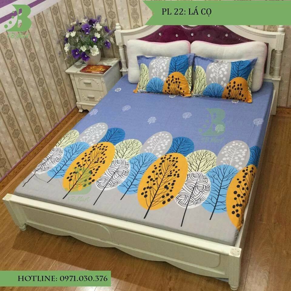 Bộ ga + 2 vỏ gối poly cotton