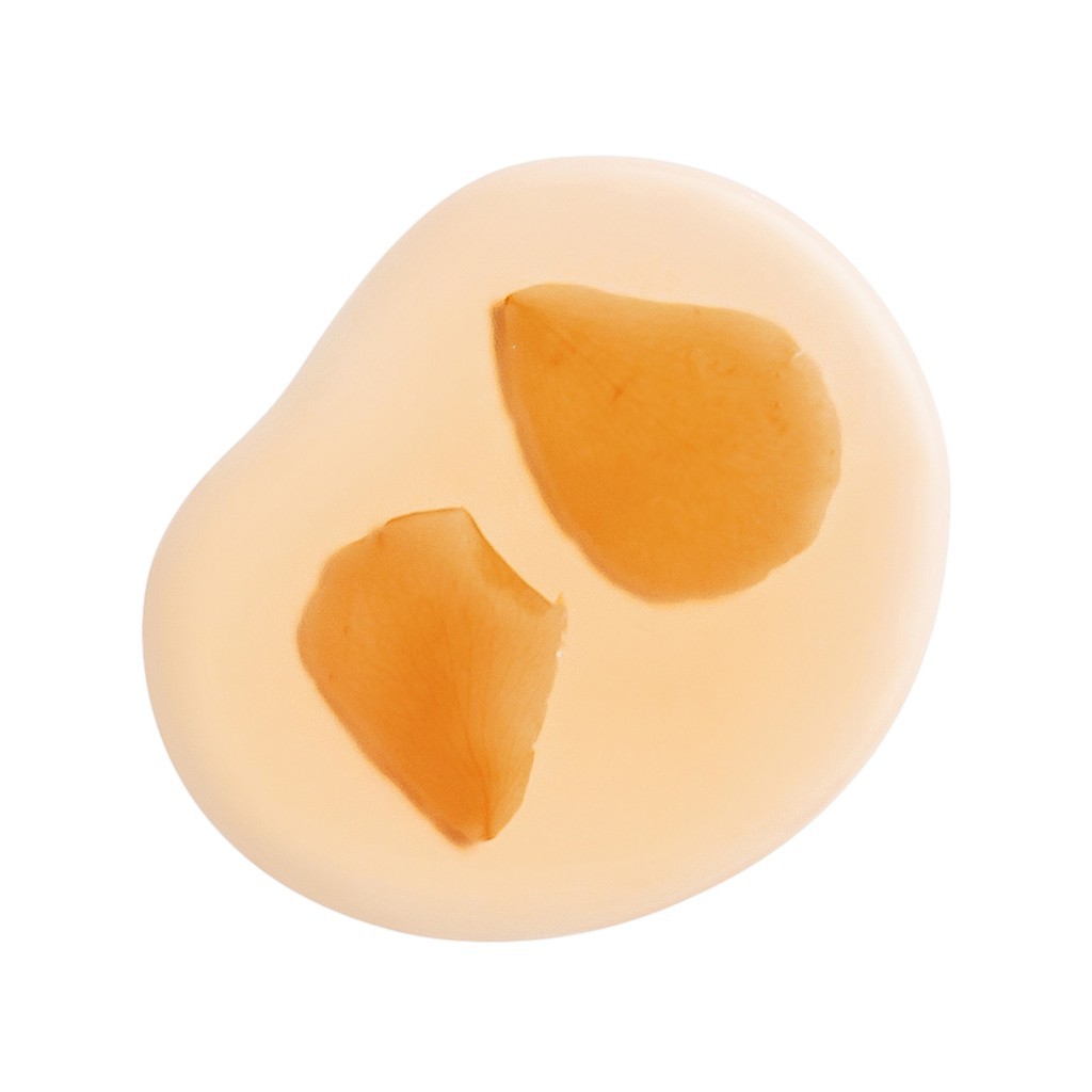 Nước Bí Đao Cân Bằng Da Cocoon Winter Melon Toner 140ml - Miss Xinh